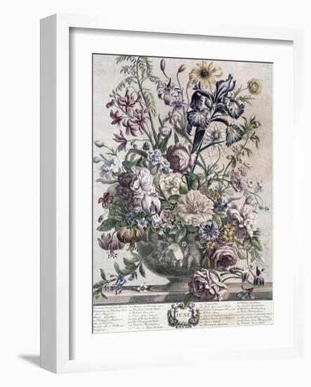 June-H. Fletcher-Framed Giclee Print