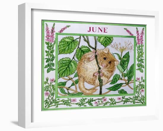 June-Catherine Bradbury-Framed Giclee Print