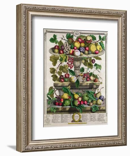 June-Pieter Casteels-Framed Giclee Print