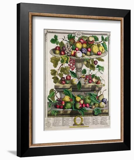 June-Pieter Casteels-Framed Giclee Print