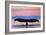 Juneau, Alaska - Humpback Fluke and Sunset-Lantern Press-Framed Art Print