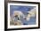 Juneau, Alaska - Mountain Goat and Kid-Lantern Press-Framed Premium Giclee Print