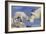 Juneau, Alaska - Mountain Goat and Kid-Lantern Press-Framed Premium Giclee Print