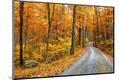 Photographic Print