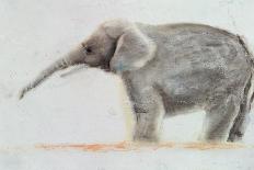 Elephant-Jung Sook Nam-Framed Giclee Print