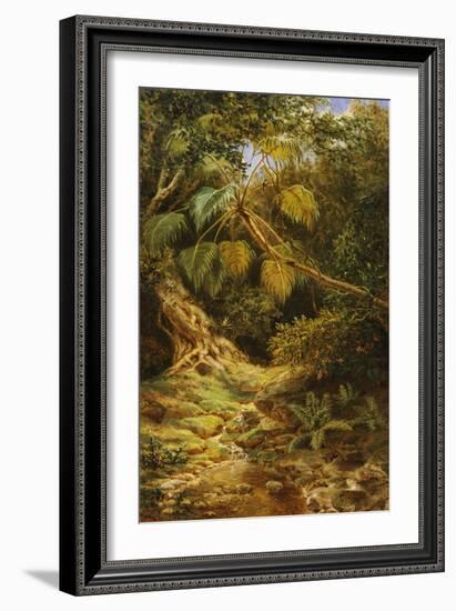 Jungala Cubana, 1880-Esteban Chartrand-Framed Giclee Print