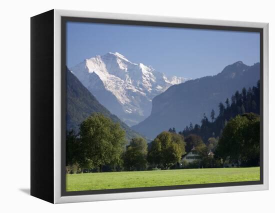 Jungfrau and Interlaken, Berner Oberland, Switzerland-Doug Pearson-Framed Premier Image Canvas