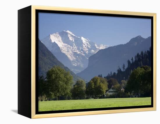 Jungfrau and Interlaken, Berner Oberland, Switzerland-Doug Pearson-Framed Premier Image Canvas