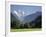 Jungfrau and Interlaken, Berner Oberland, Switzerland-Doug Pearson-Framed Photographic Print