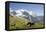 Jungfrau, Kleine Scheidegg, Bernese Oberland, Berne Canton, Switzerland, Europe-Angelo Cavalli-Framed Premier Image Canvas