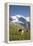 Jungfrau, Kleine Scheidegg, Bernese Oberland, Berne Canton, Switzerland, Europe-Angelo Cavalli-Framed Premier Image Canvas