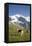 Jungfrau, Kleine Scheidegg, Bernese Oberland, Berne Canton, Switzerland, Europe-Angelo Cavalli-Framed Premier Image Canvas