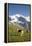 Jungfrau, Kleine Scheidegg, Bernese Oberland, Berne Canton, Switzerland, Europe-Angelo Cavalli-Framed Premier Image Canvas