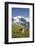 Jungfrau, Kleine Scheidegg, Bernese Oberland, Berne Canton, Switzerland, Europe-Angelo Cavalli-Framed Photographic Print