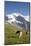 Jungfrau, Kleine Scheidegg, Bernese Oberland, Berne Canton, Switzerland, Europe-Angelo Cavalli-Mounted Photographic Print