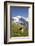 Jungfrau, Kleine Scheidegg, Bernese Oberland, Berne Canton, Switzerland, Europe-Angelo Cavalli-Framed Photographic Print