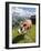 Jungfrau Massif and Cow Near Murren, Jungfrau Region, Switzerland, Europe-Michael DeFreitas-Framed Photographic Print