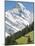 Jungfrau Massif and Swiss Chalet Near Murren, Jungfrau Region, Switzerland, Europe-Michael DeFreitas-Mounted Photographic Print