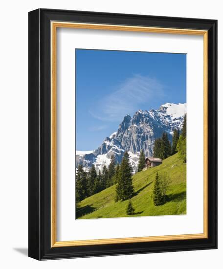 Jungfrau Massif and Swiss Chalet Near Murren, Jungfrau Region, Switzerland-Michael DeFreitas-Framed Photographic Print