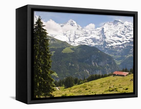 Jungfrau Massif From Murren, Jungfrau Region, Switzerland, Europe-Michael DeFreitas-Framed Premier Image Canvas