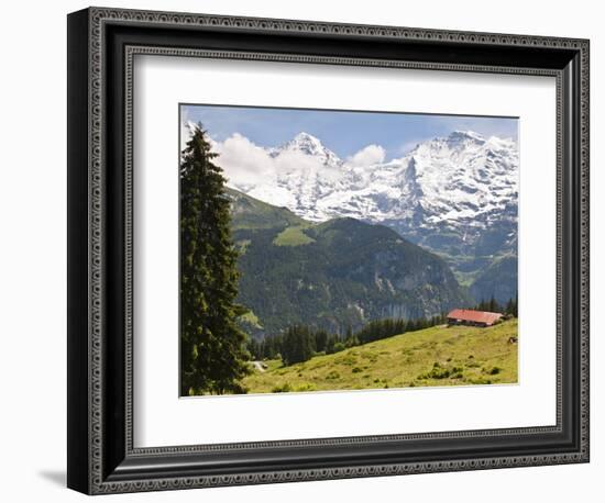 Jungfrau Massif From Murren, Jungfrau Region, Switzerland, Europe-Michael DeFreitas-Framed Photographic Print