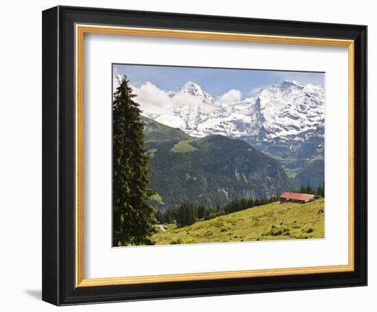 Jungfrau Massif From Murren, Jungfrau Region, Switzerland, Europe-Michael DeFreitas-Framed Photographic Print