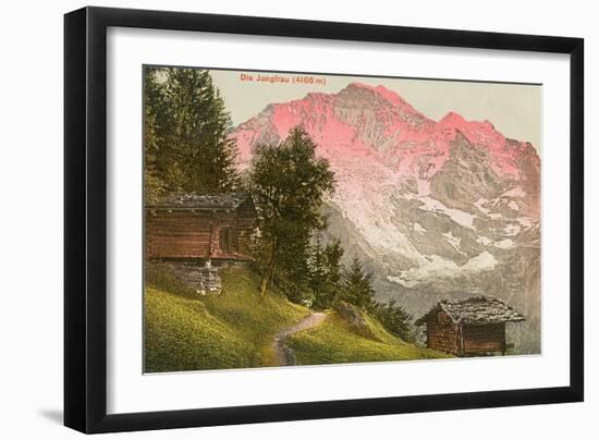 Art Print, , large