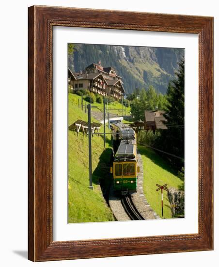 Jungfraujochbahn, Wengen, Lauterbrunnental, Switzerland-David Barnes-Framed Photographic Print