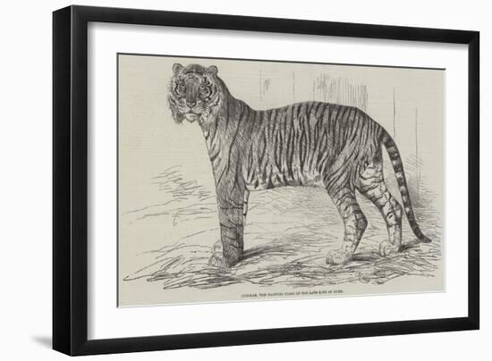 Junglar, the Fighting Tiger of the Late King of Oude-Harrison William Weir-Framed Giclee Print