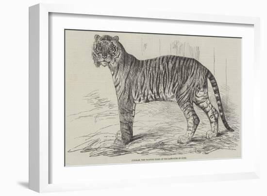 Junglar, the Fighting Tiger of the Late King of Oude-Harrison William Weir-Framed Giclee Print