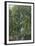 Jungle Cascade-19th Century English School -Framed Premium Giclee Print