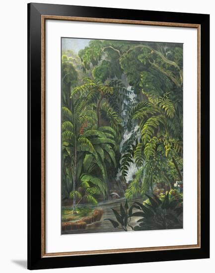 Jungle Cascade-19th Century English School -Framed Premium Giclee Print