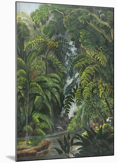 Jungle Cascade-19th Century English School -Mounted Premium Giclee Print