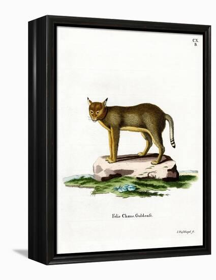 Jungle Cat-null-Framed Premier Image Canvas