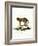 Jungle Cat-null-Framed Giclee Print