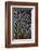 Jungle Cock Feathers-Darrell Gulin-Framed Photographic Print