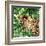 Jungle Eyes 2-Kimberly Allen-Framed Art Print