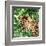 Jungle Eyes 2-Kimberly Allen-Framed Art Print