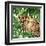 Jungle Eyes 2-Kimberly Allen-Framed Art Print