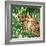 Jungle Eyes 2-Kimberly Allen-Framed Art Print