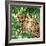 Jungle Eyes 2-Kimberly Allen-Framed Art Print