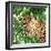 Jungle Eyes 2-Kimberly Allen-Framed Art Print