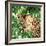 Jungle Eyes 2-Kimberly Allen-Framed Art Print