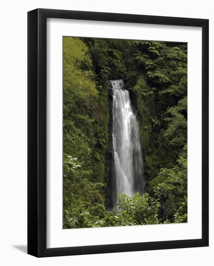 Jungle Falls-J.D. Mcfarlan-Framed Photographic Print