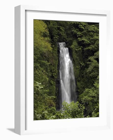 Jungle Falls-J.D. Mcfarlan-Framed Photographic Print