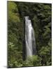 Jungle Falls-J.D. Mcfarlan-Mounted Photographic Print