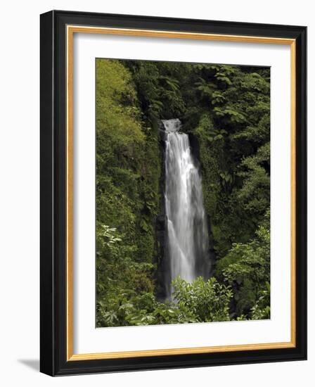 Jungle Falls-J.D. Mcfarlan-Framed Photographic Print