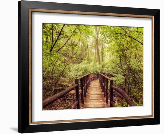 Jungle Landscape in Vintage Style. Wooden Bridge at Tropical Rain Forest. Doi Inthanon Park, Thaila-Im Perfect Lazybones-Framed Photographic Print