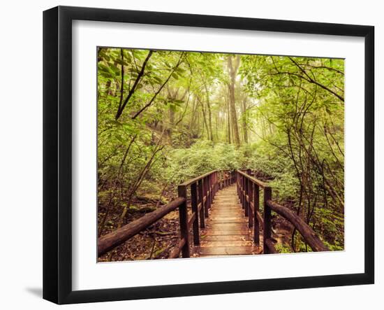 Jungle Landscape in Vintage Style. Wooden Bridge at Tropical Rain Forest. Doi Inthanon Park, Thaila-Im Perfect Lazybones-Framed Photographic Print