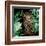 Jungle Leopard-Kimberly Allen-Framed Art Print